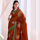 Rust Raw Silk Saree with Blouse